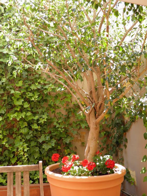 Suitur Courtyard Apartment برشلونة المظهر الخارجي الصورة